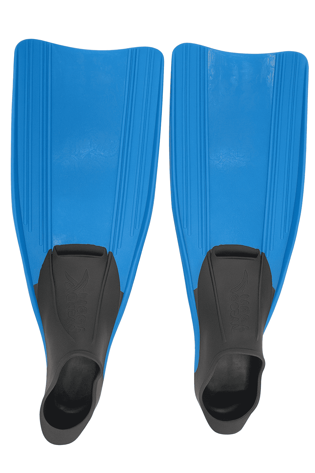 Long Fins – Swim Training (2)