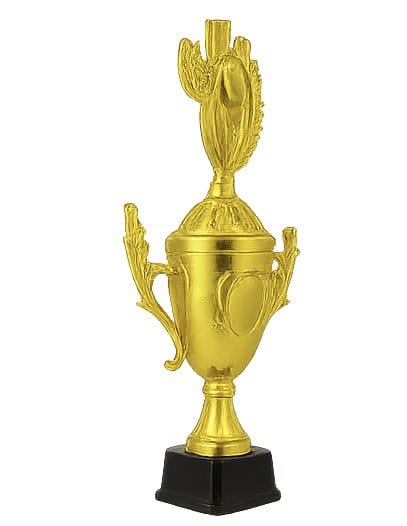 Large trophy 54cm – Trophies & Cups (3)