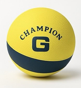 Champion water ball – Games (4)