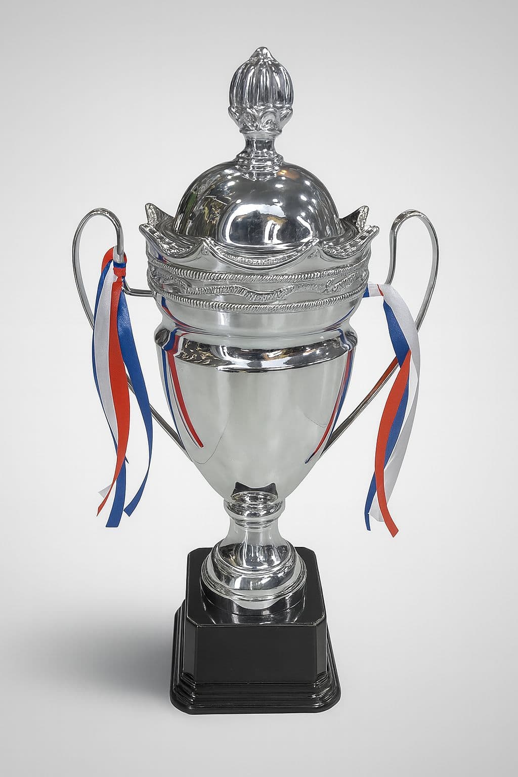 Silver Trophy 51 Cm – Trophies & Cups