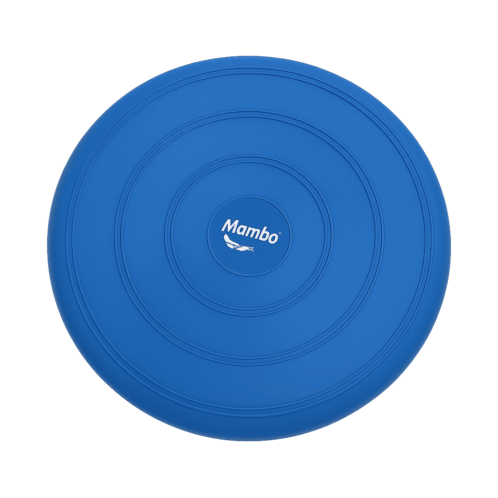 Balance Disc – Yoga & Pilates
