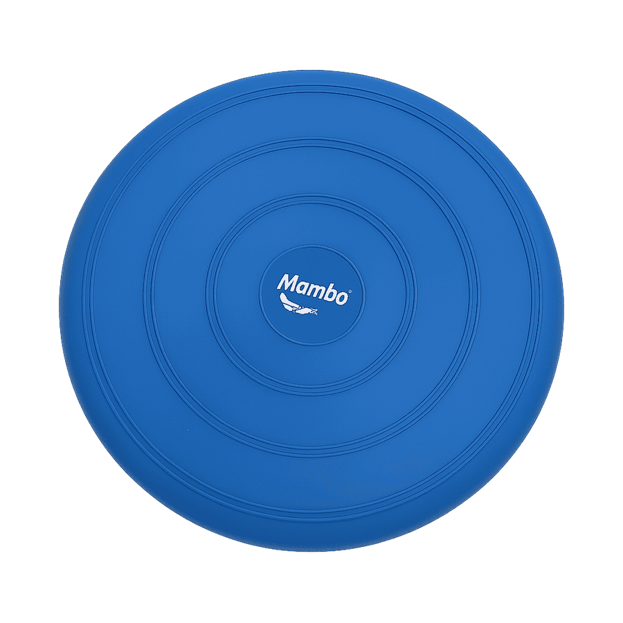 Balance Disc – Yoga & Pilates