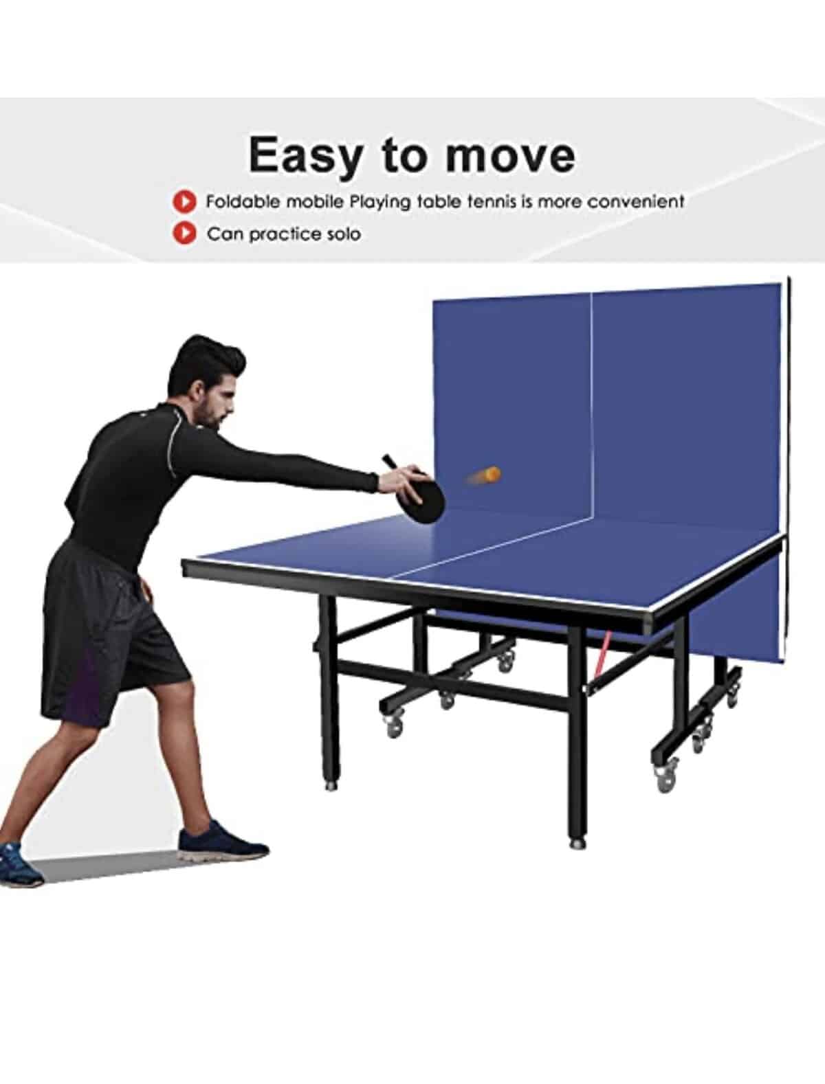 tennis Table – Table Tennis (5)