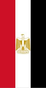 علم مصر الوطني – أعلام (4)
