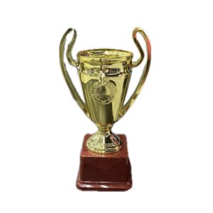 Medium Trophy – Trophies & Cups