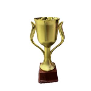 Large Trophy – Trophies & Cups (2)
