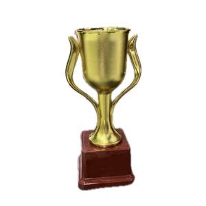 Trophy C 303 – Trophies & Cups (2)