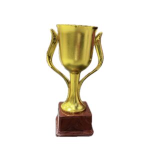 Trophy B303 – Trophies & Cups (2)