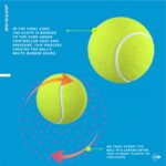 ⁦Dunlop Tennis Balls⁩ - الصورة ⁦3⁩