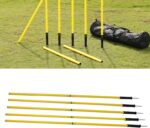 Fluorescent Training Pole - Image 9