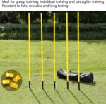 Fluorescent Training Pole - Image 10