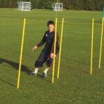 Fluorescent Training Pole