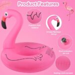 Flamingo Float - Image 2
