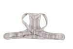 ⁦Back Support Brace⁩ - الصورة ⁦5⁩