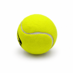 Track Tennis Ball - Image 2