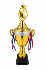 Gold & Silver Trophy