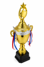 Gold & Silver Trophy - Image 2