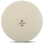 Bloom Mini Pilates Ball - Image 3