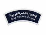 Scout Hobby Badge - Image 3