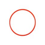 Training Agility Hoop - Image 5