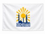 Cairo Flag
